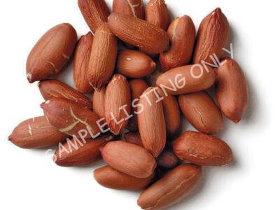 Raw Egypt Groundnuts
