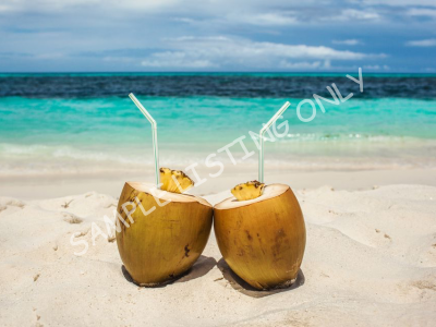 Fresh Egypt Coconut